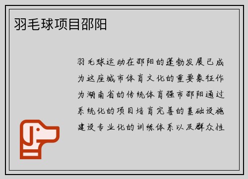 羽毛球项目邵阳