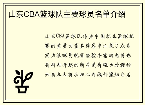 山东CBA篮球队主要球员名单介绍